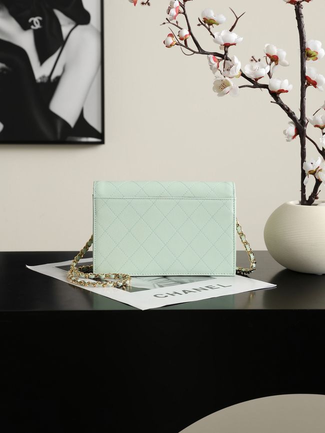 CHANEL Wallet on Chain AP5455 light green