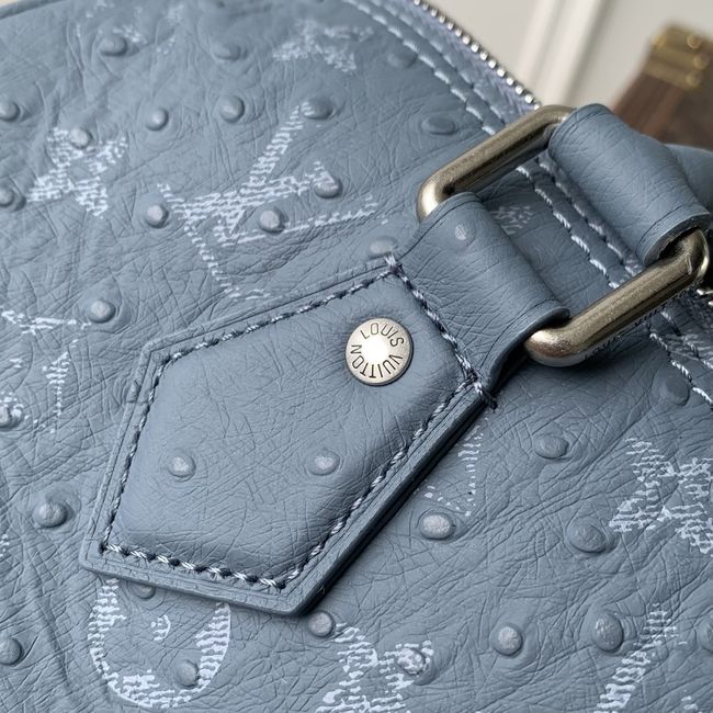 Louis Vuitton Runway Speedy P9 Bandouliere 25 M24426 blue