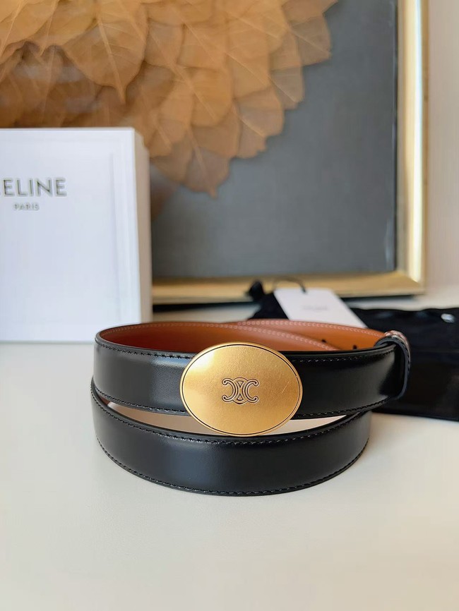 Celine Thin Plate Belt IN 25MM Taurillon Leather B10673-8
