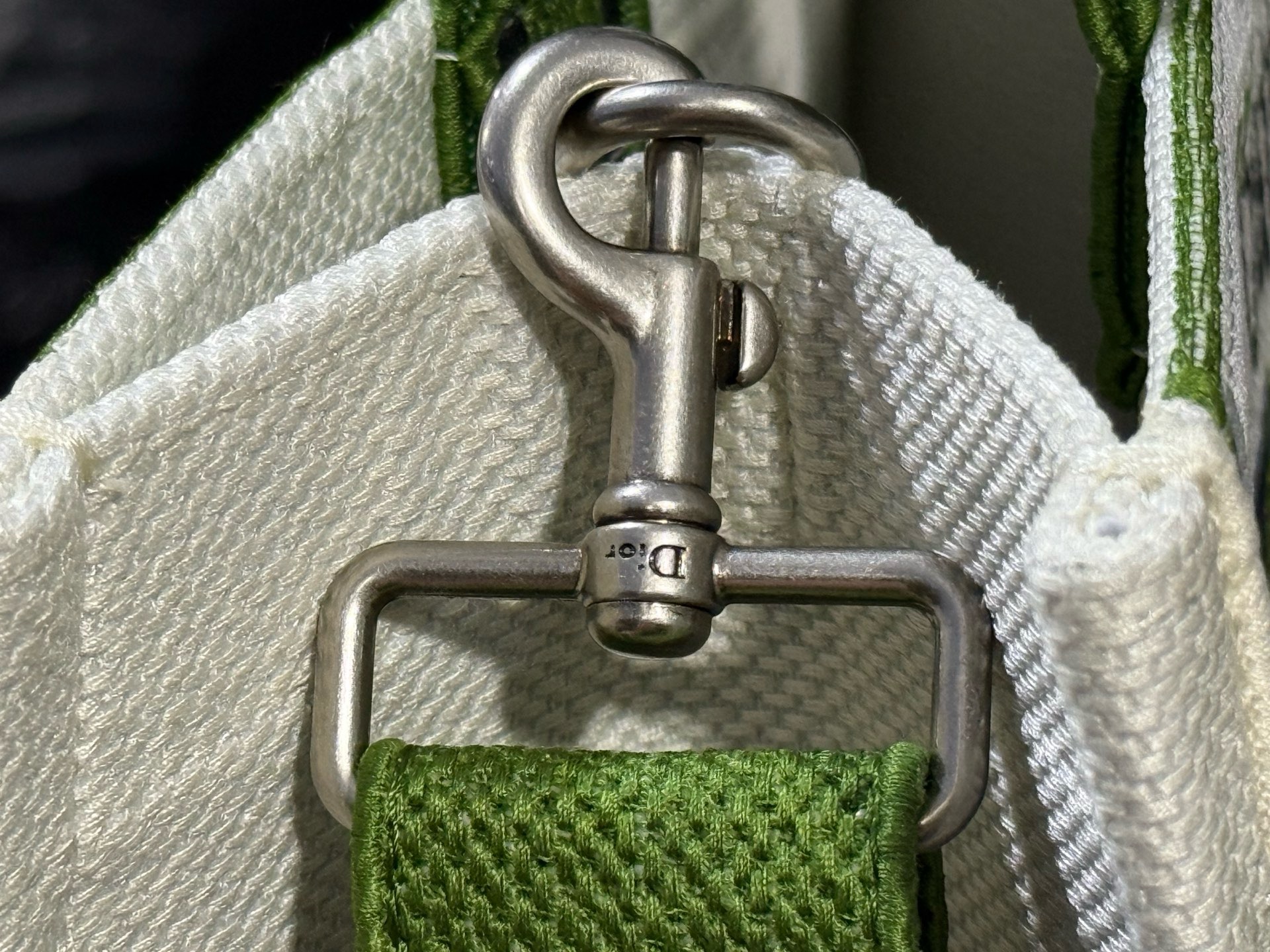 Large Dior Book Tote Embroidery M1349OE green