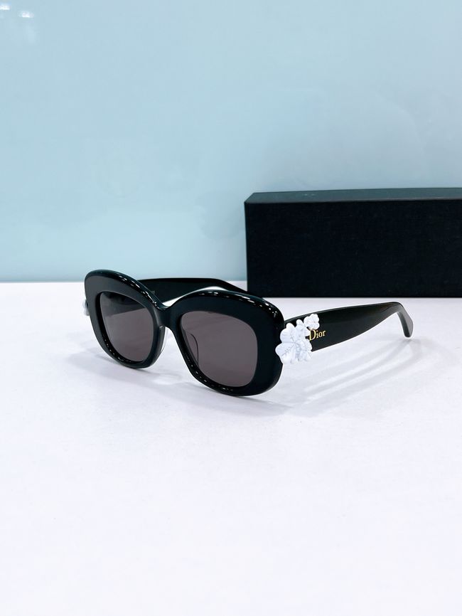Dior Sunglasses 821536-2