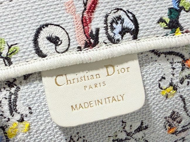 Small Dior Book Tote with Strap Embroidered M1404OE-10