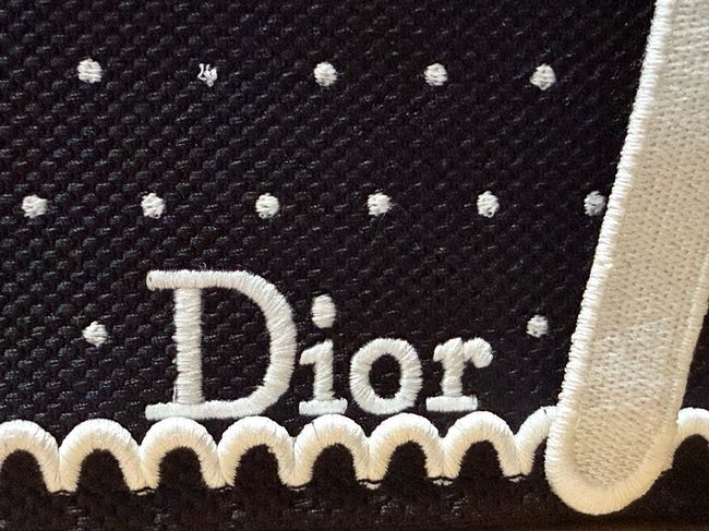 Small Dior Book Tote with Strap Embroidered M1404OE-9