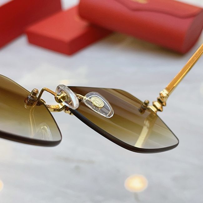 Cartier Sunglasses 821574-6 Cartier Sunglasses 821574-6