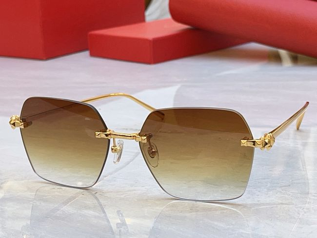 Cartier Sunglasses 821574-6 Cartier Sunglasses 821574-6