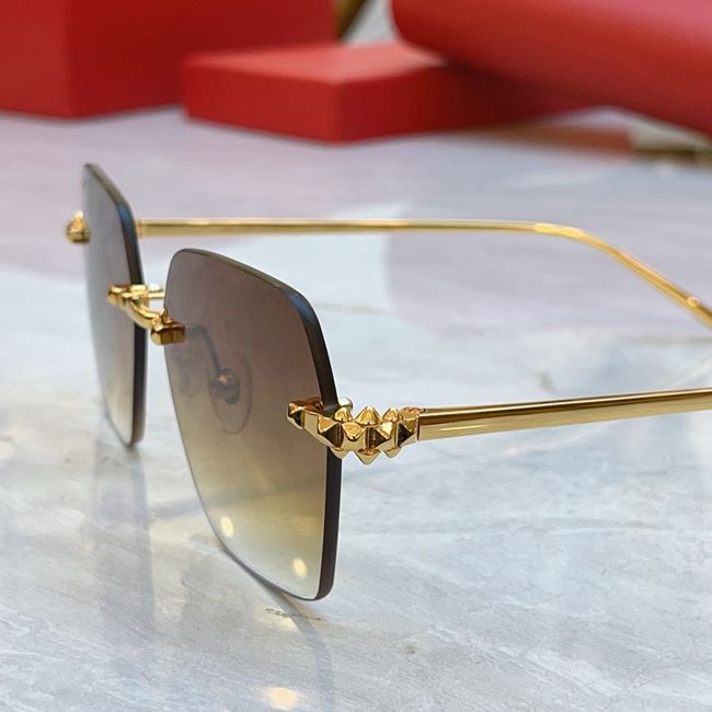 Cartier Sunglasses 821574-6 Cartier Sunglasses 821574-6