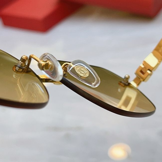 Cartier Sunglasses 821577-6 Cartier Sunglasses 821577-6