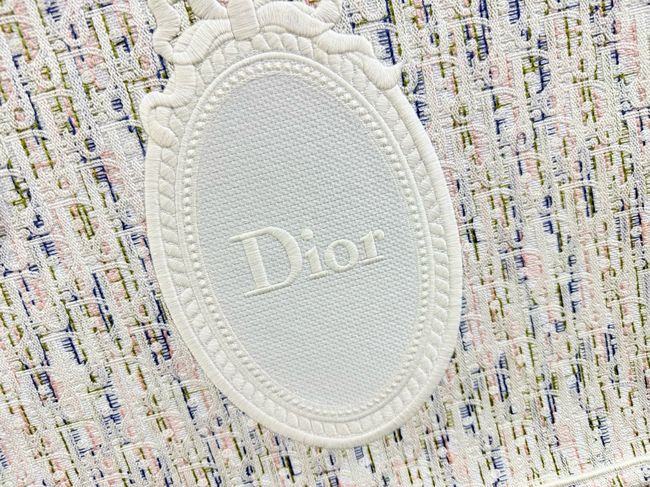Small Dior Book Tote with Strap Embroidered M1404OE-12