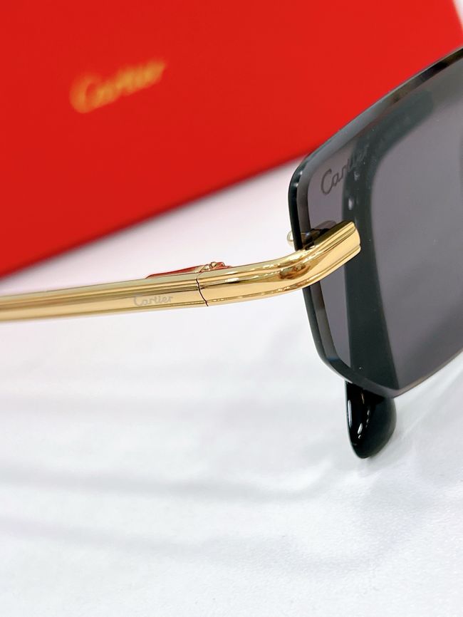 Cartier Sunglasses 821579-1 Cartier Sunglasses 821579-1