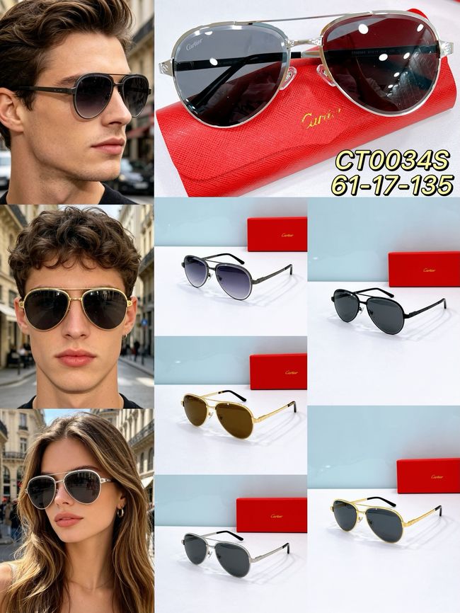 Cartier Sunglasses 821581-3 Cartier Sunglasses 821581-3