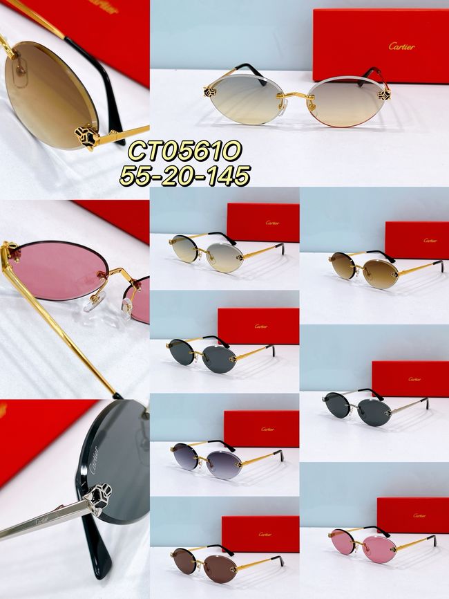 Cartier Sunglasses 821592-5 Cartier Sunglasses 821592-5