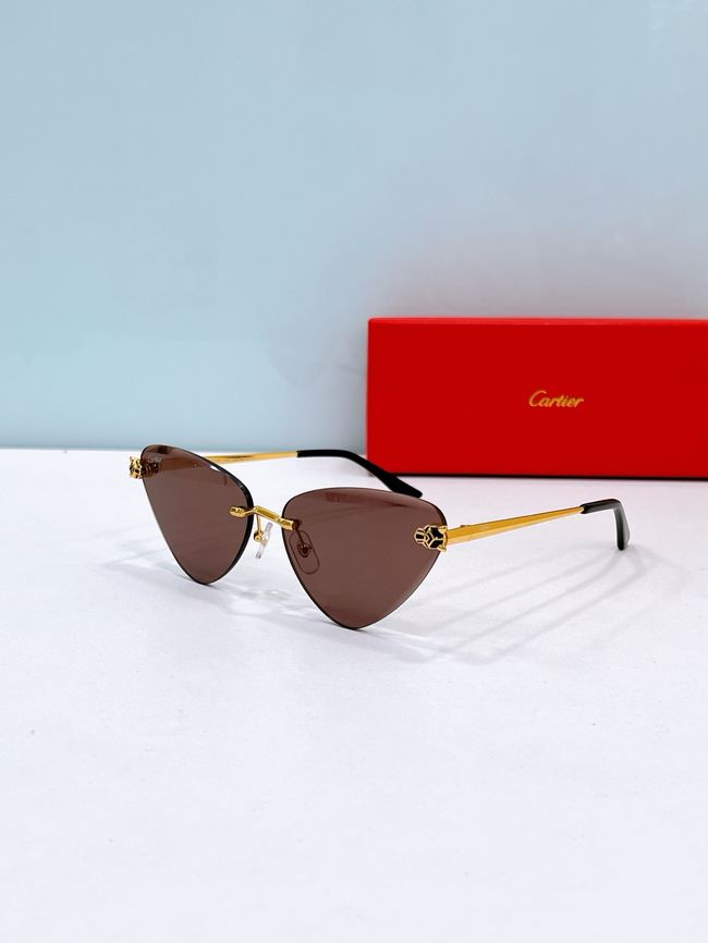 Cartier Sunglasses 821593-1