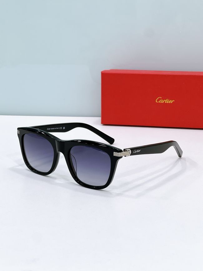 Cartier Sunglasses 821594-6 Cartier Sunglasses 821594-6