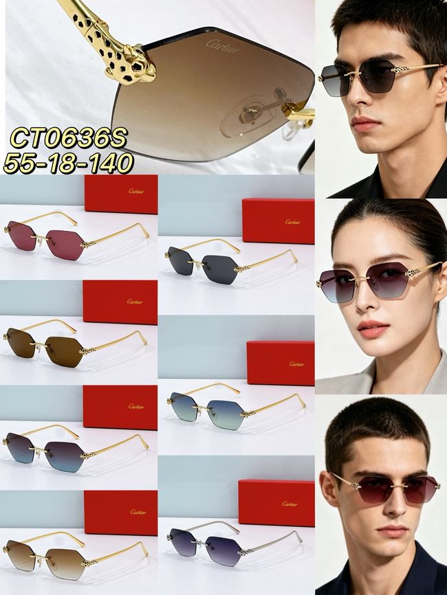 Cartier Sunglasses 821595-3 Cartier Sunglasses 821595-3