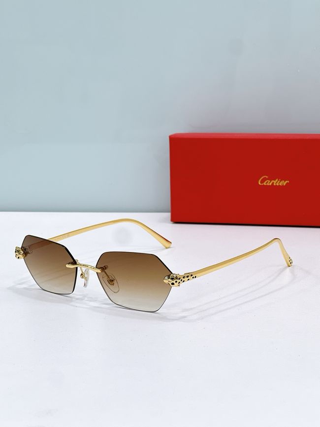 Cartier Sunglasses 821595-6