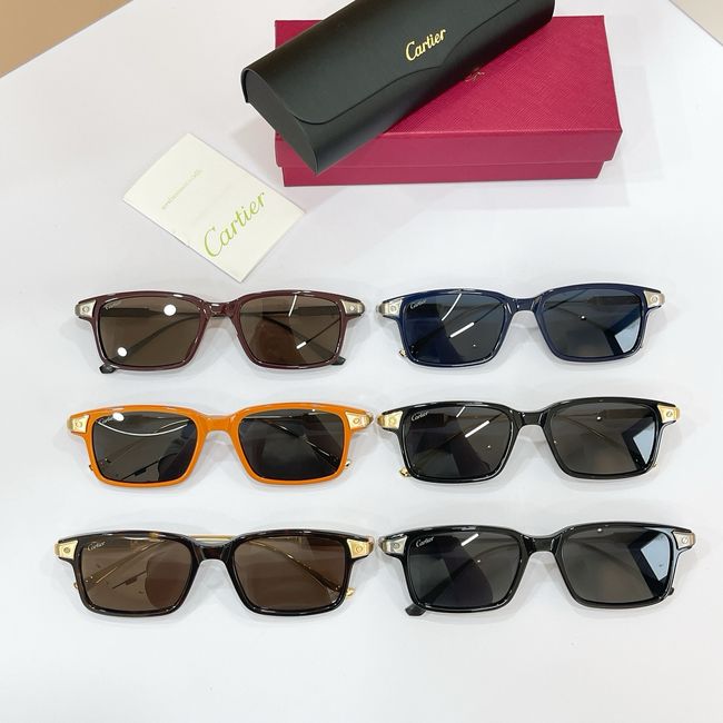 Cartier Sunglasses 821597-6 Cartier Sunglasses 821597-6