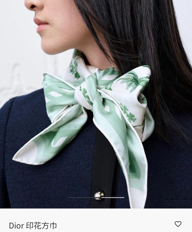 Dior cashmere scarf KY206-2