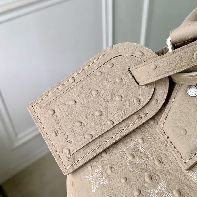 Louis Vuitton Runway Speedy P9 Bandouliere 30 M24425 Dark Beige