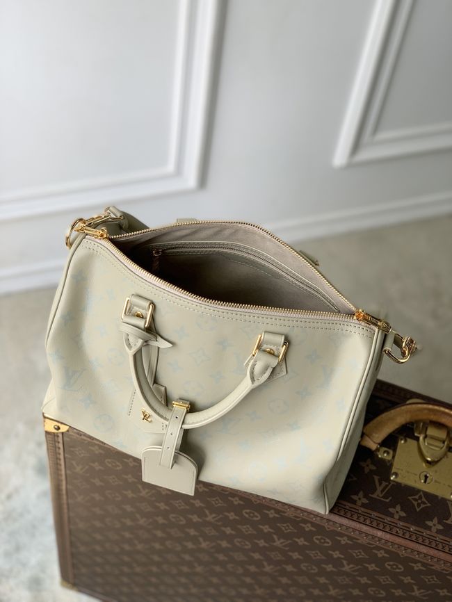 Louis Vuitton Speedy Soft 30 M3A165 Private Sage
