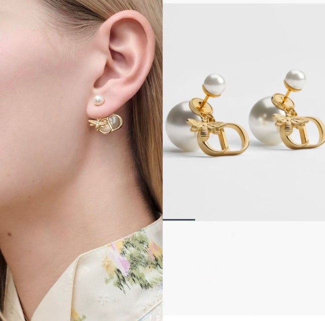 Dior Earrings CE89987